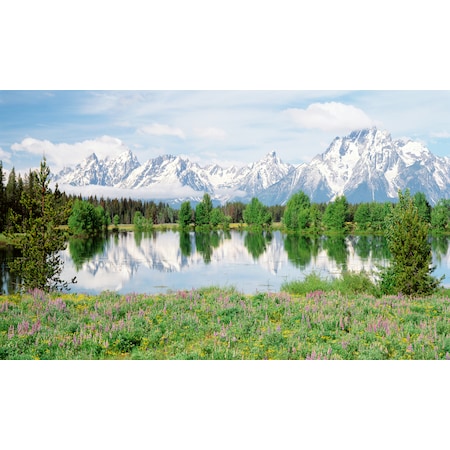 Window Well Scenes-Mountain Flowers, 100 In Wide X 60 In High